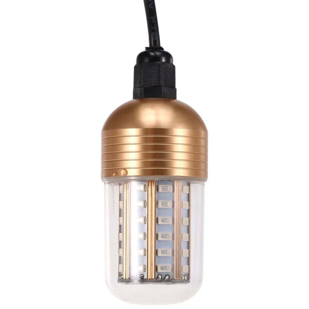 Attracting Fish Cord Bait Carevas Night Fish Underwater 60 Lamp -60V Submersible with Squid Fishing 30W Finder LEDs