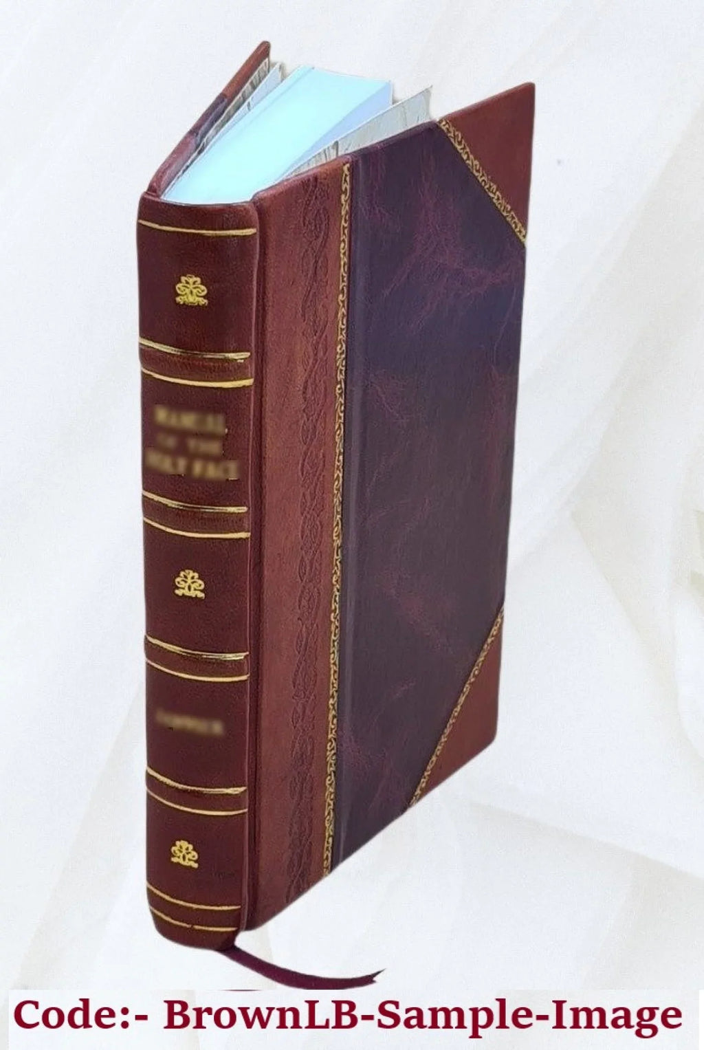 & Bound] 1926 v.6 nieuw. Het oud [Leather Volume Huis