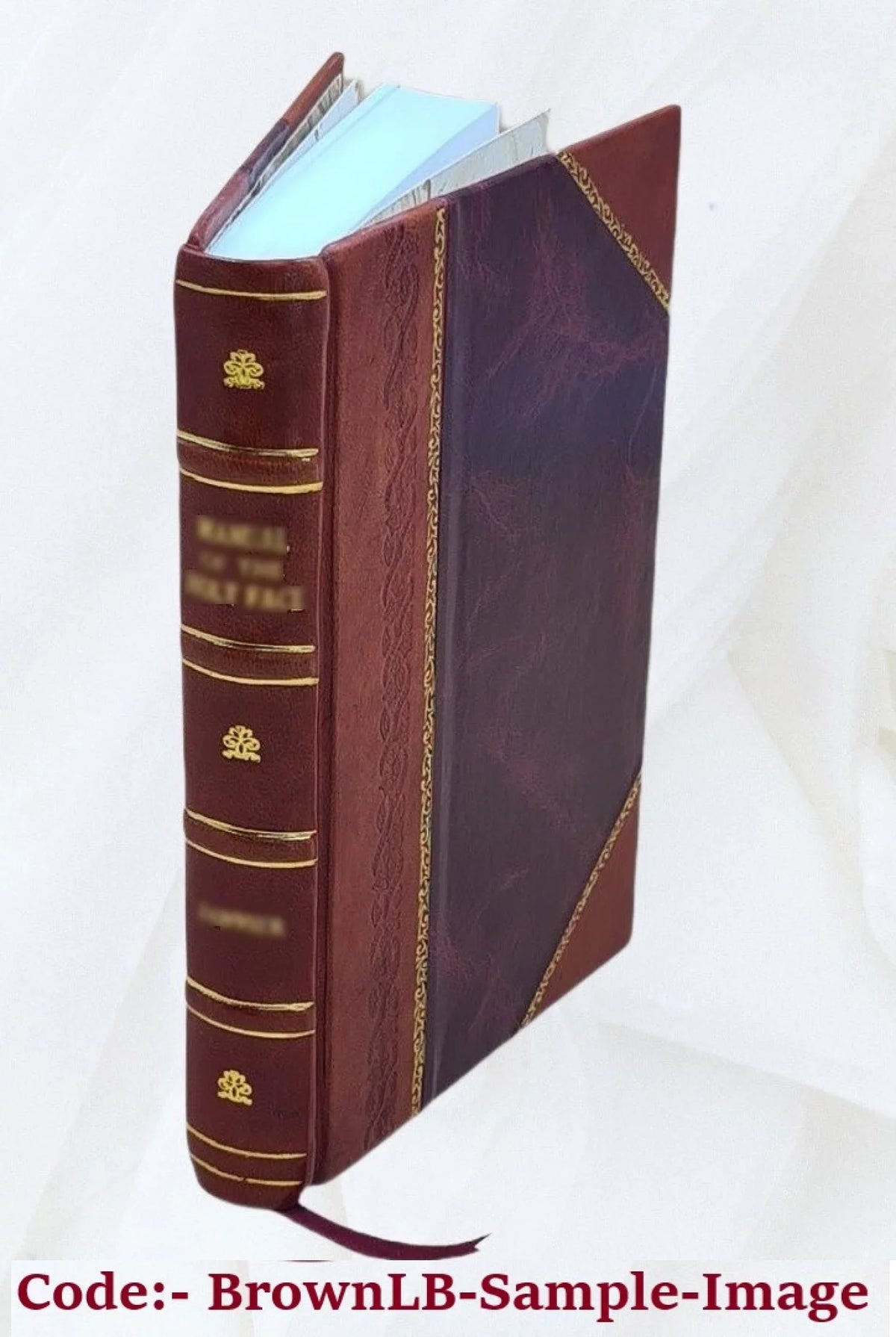 & Bound] 1926 v.6 nieuw. Het oud [Leather Volume Huis