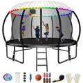 Kids,Pumpkin Trampoline Enclosure for Kids Trampoline exterior Recreational Hoop with with Capacity 12FT Basketball 4-6 990LBS Backyard Net,Sprinkler,Light,Socks,Ladder, Trampoline for FIZITI