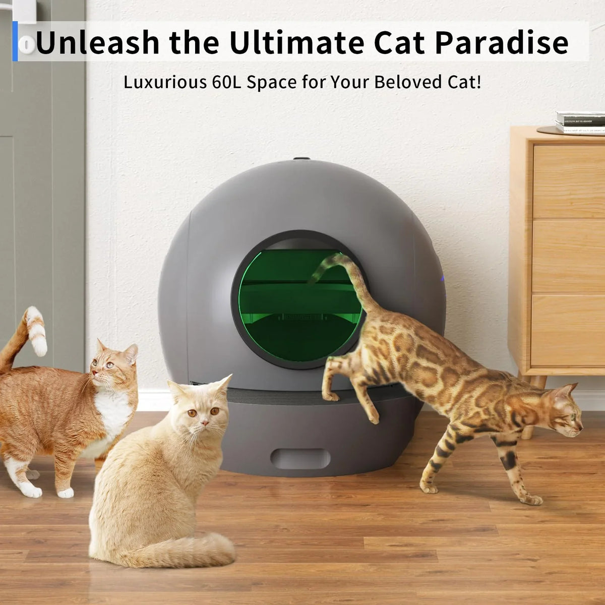Litter Self Cat Box Control Multiple ELS PET Cats Cat Automatic Version] for Litter Box APP Cleaning [Upgraded