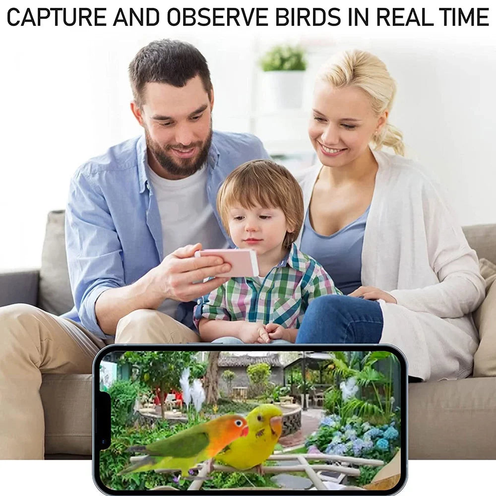 WIFI Real-time Smart Species, Feeder Identify Bird IP65 TF Watching Camera Bird Waterproof Cards Bird for Auto Bird AI Capture Detection, moobody Enthusiasts 1080P Notification, 128G Motion Video,