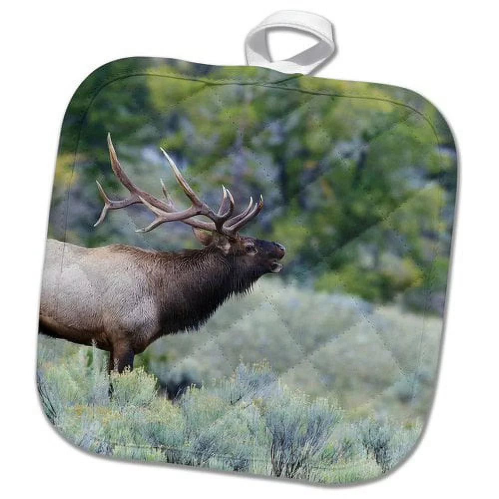 3dRose Rocky Pot Bugling Bull Elk Holder Mountain