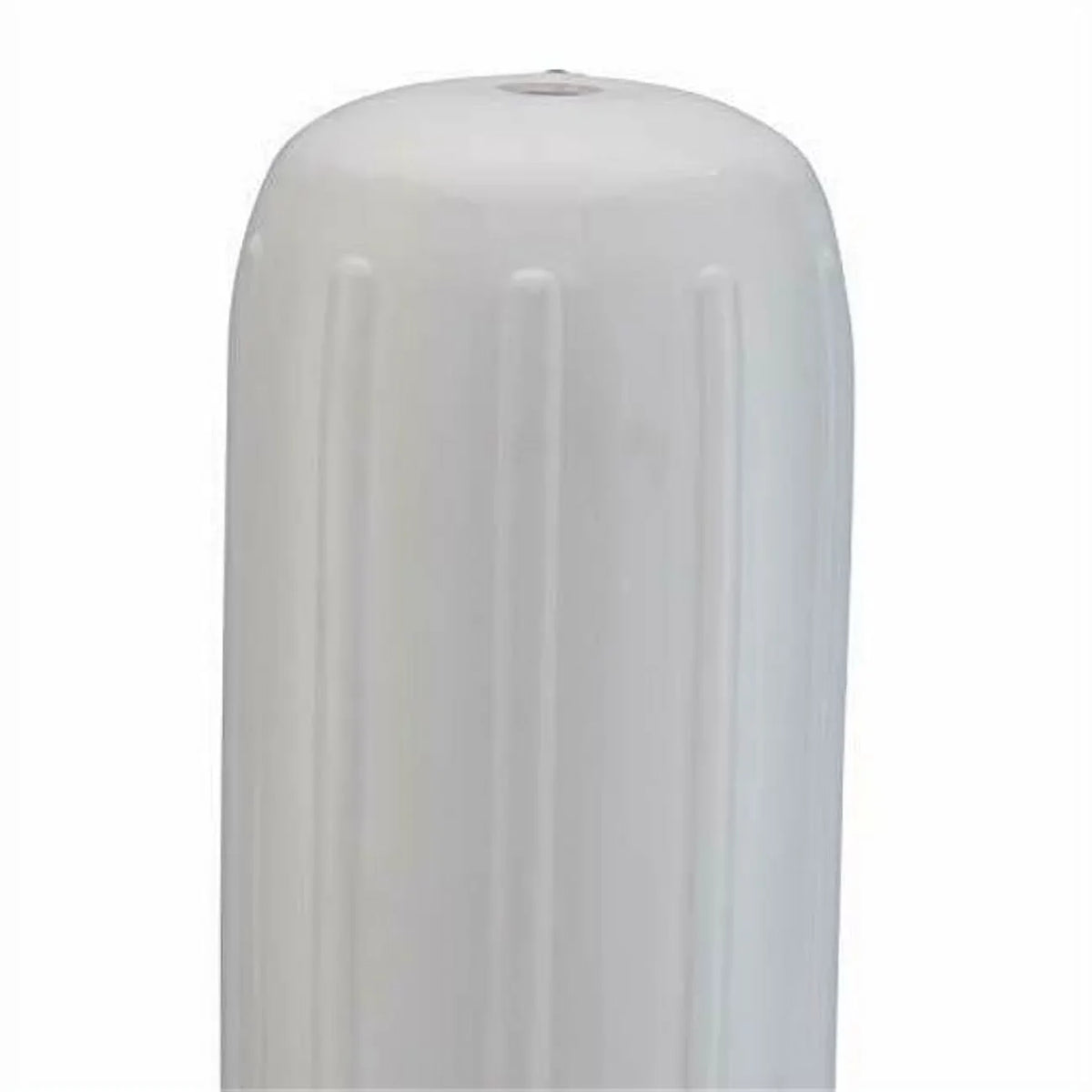 Fender Inflatable Big Taylor B Vinyl