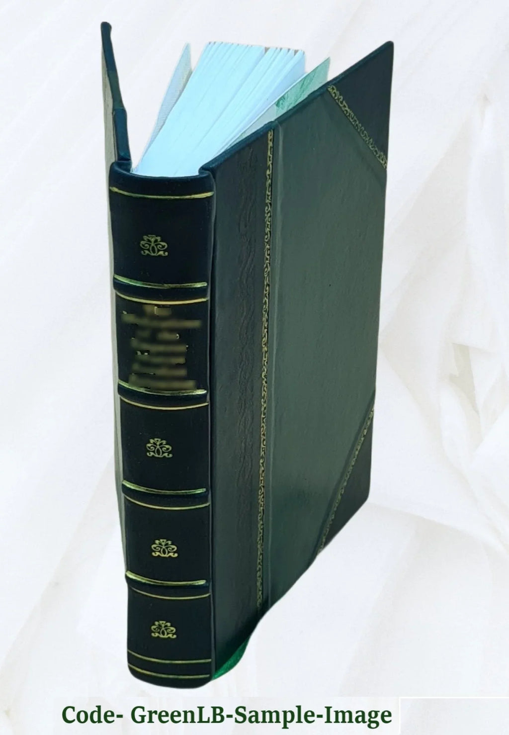 & Bound] 1926 v.6 nieuw. Het oud [Leather Volume Huis