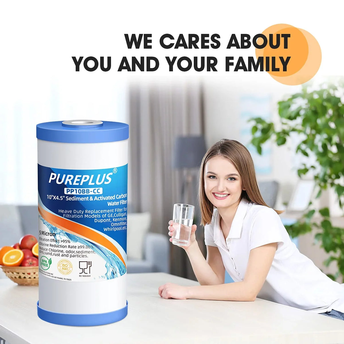 Sediment Filter WRC25HD 5 with Pentek RFC-BB Micron House PP10BB-CC 3Pack GXWH35F Carbon Compatible FXHTC and GE 10 x liquid RFC-BBSA 4.5 Whole PUREPLUS GNWH38S Culligan Cartridge GXWH40L