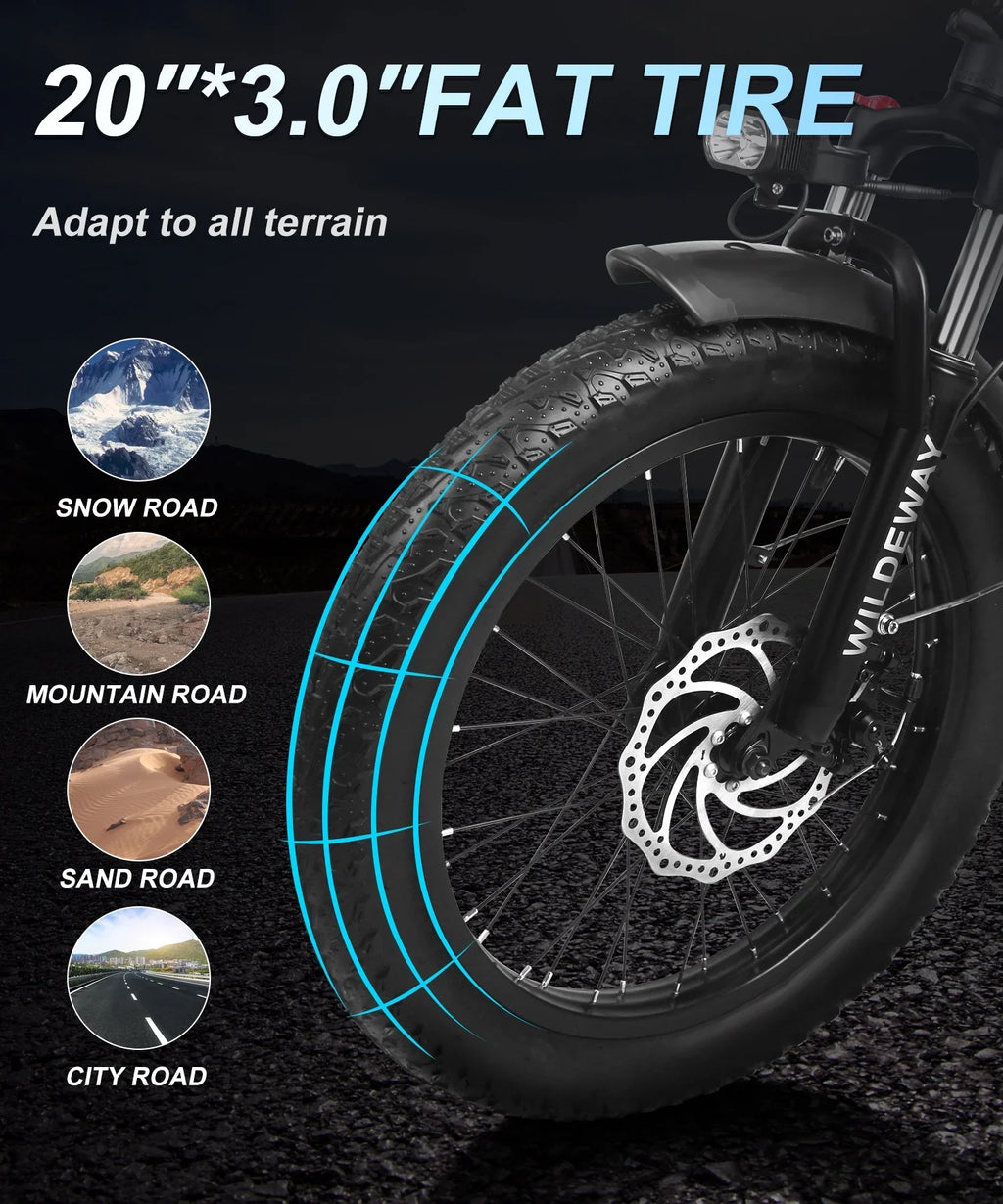 Wildeway Removable , Electric Speeds, Battery 7 Snow Fat 20×3.0 City for Bicycle Motor，48v Adults Ebike Beach ,750w 32ah Mountain Tire Folding