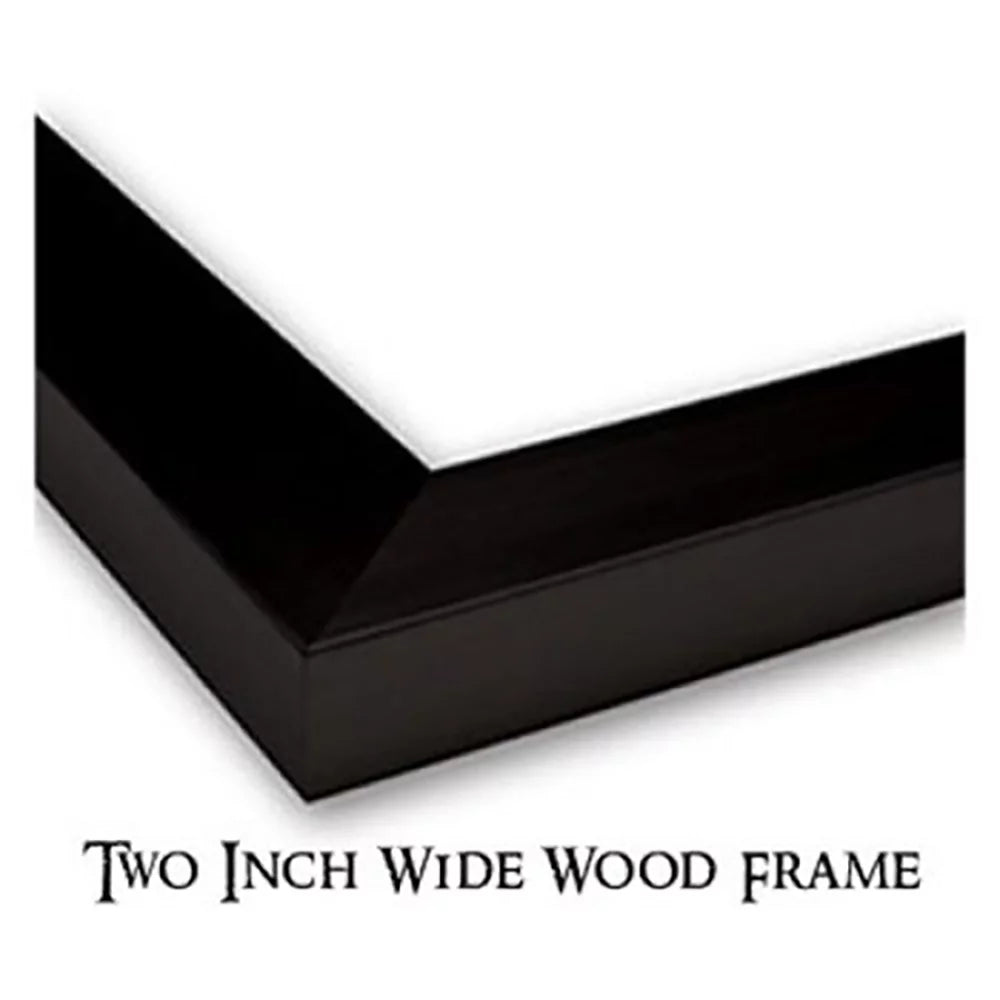 Freerider Modern Framed - Titled Art Vasenev, Museum Black 18x13 Evgeny Print