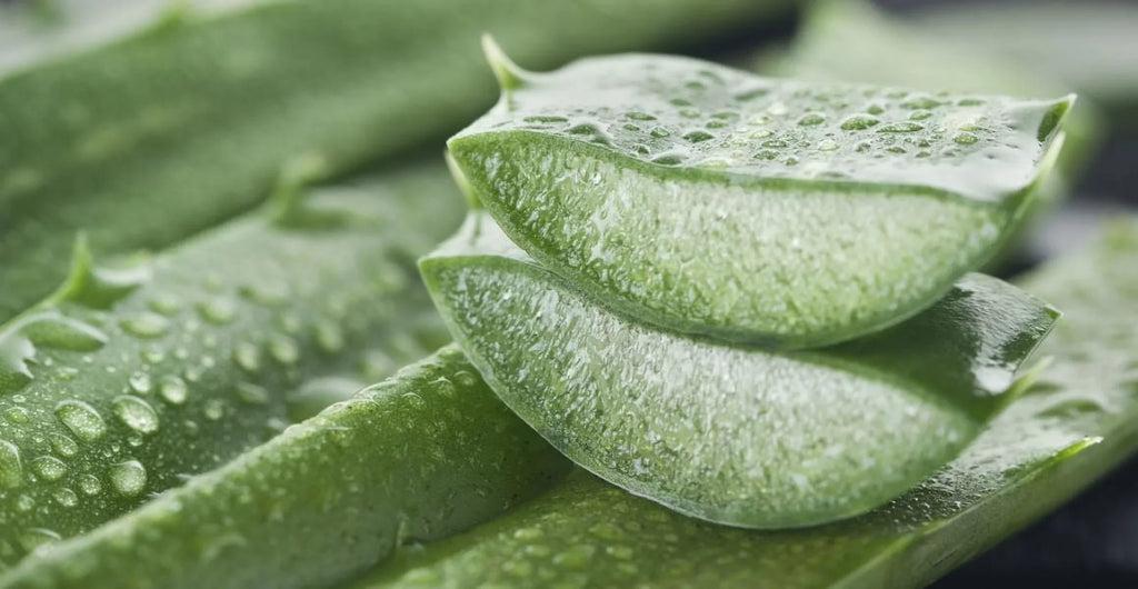 Zprodx Anti-Aging Vera Aloe Collection - Skincare Gel