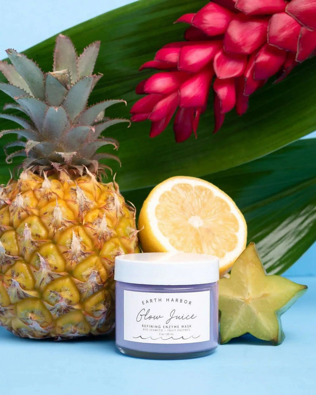 mask refining enzyme enzymes fruit Harbor red fl oz Juice Glow seaweed 2 Earth |