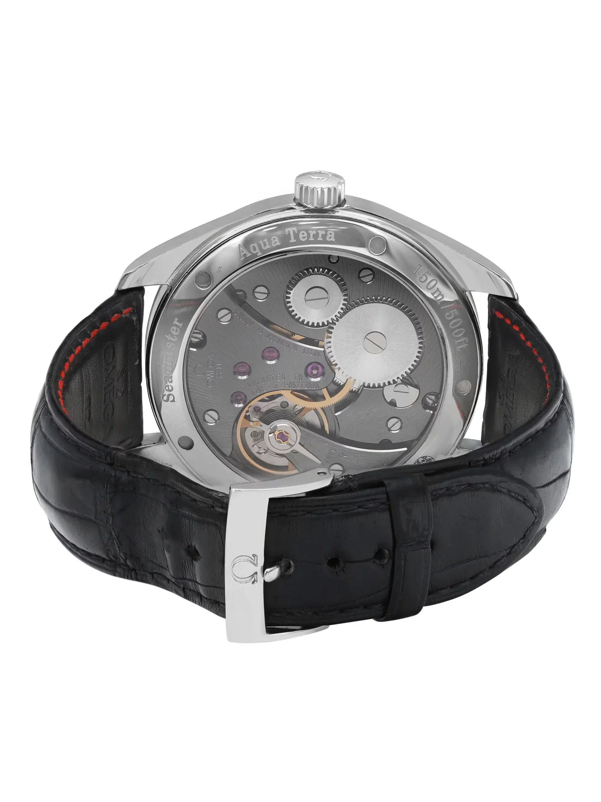 Manual XXL Steel Wind Railmaster Aqua Terra Omega Mens Watch 231.13.49.10.06.001