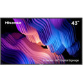 Landscape Signage 18 in. x 43 Nits Display 43B4E31T-A000 500 UHD 4K Hisense Digital E-Series Prosumer 7