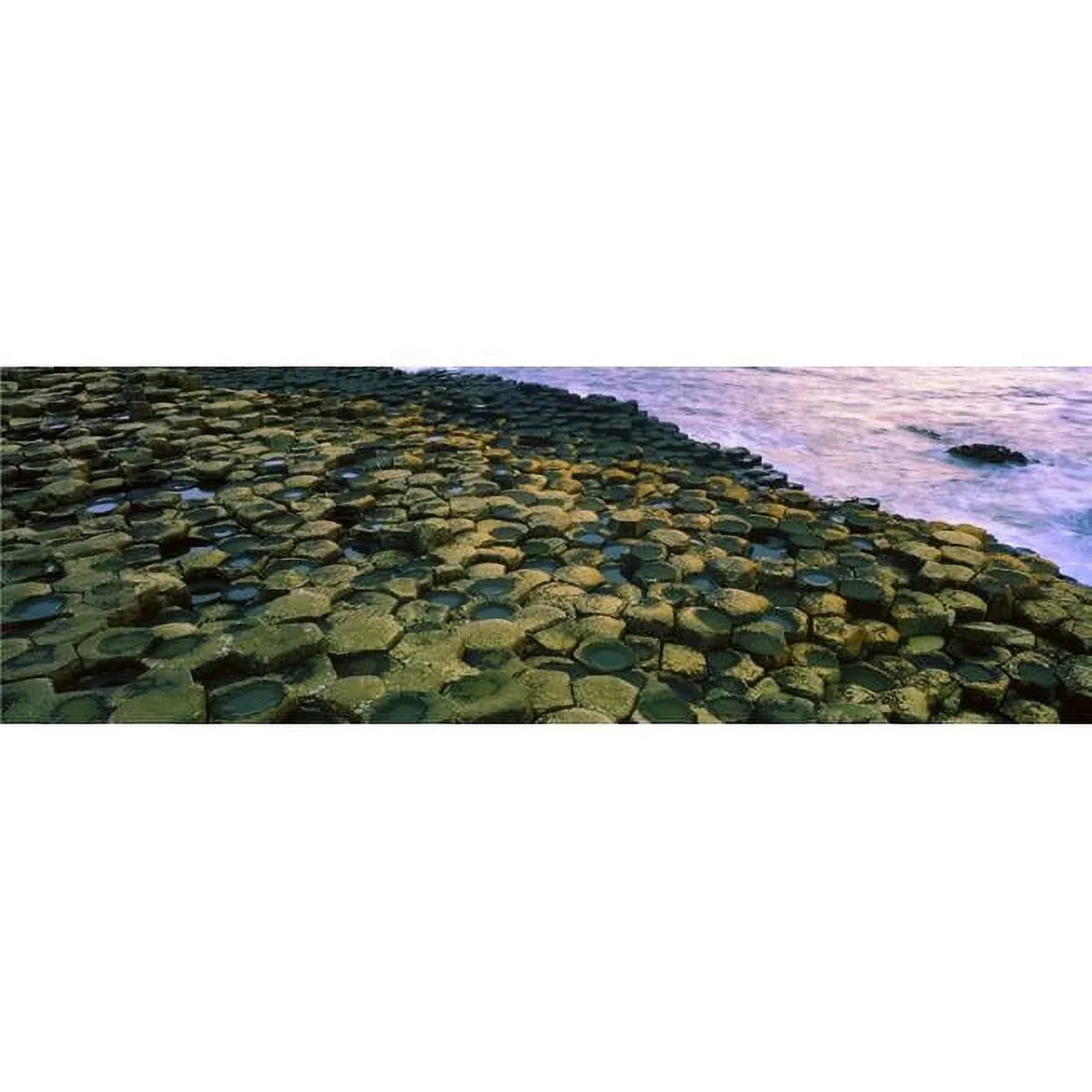 Basalt Designated Causeway - Collection Columns Area x Antrim 11 World Co The Unesco Irish Ireland 34 Site Print A - with Heritage Giants by Poster Image