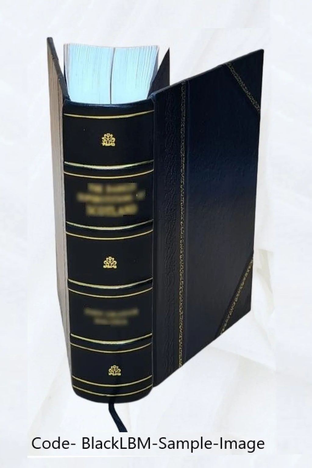 [Leather Sir 1893 Georges Cartier de Bound] Discours