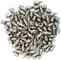 100) Country Steel Stainless (9mm) Track/Cross (Bag inch 3/8 Spikes of
