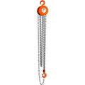 Cap. 622 Chain CM 20' Hoist Lift Series Ton Hand 1