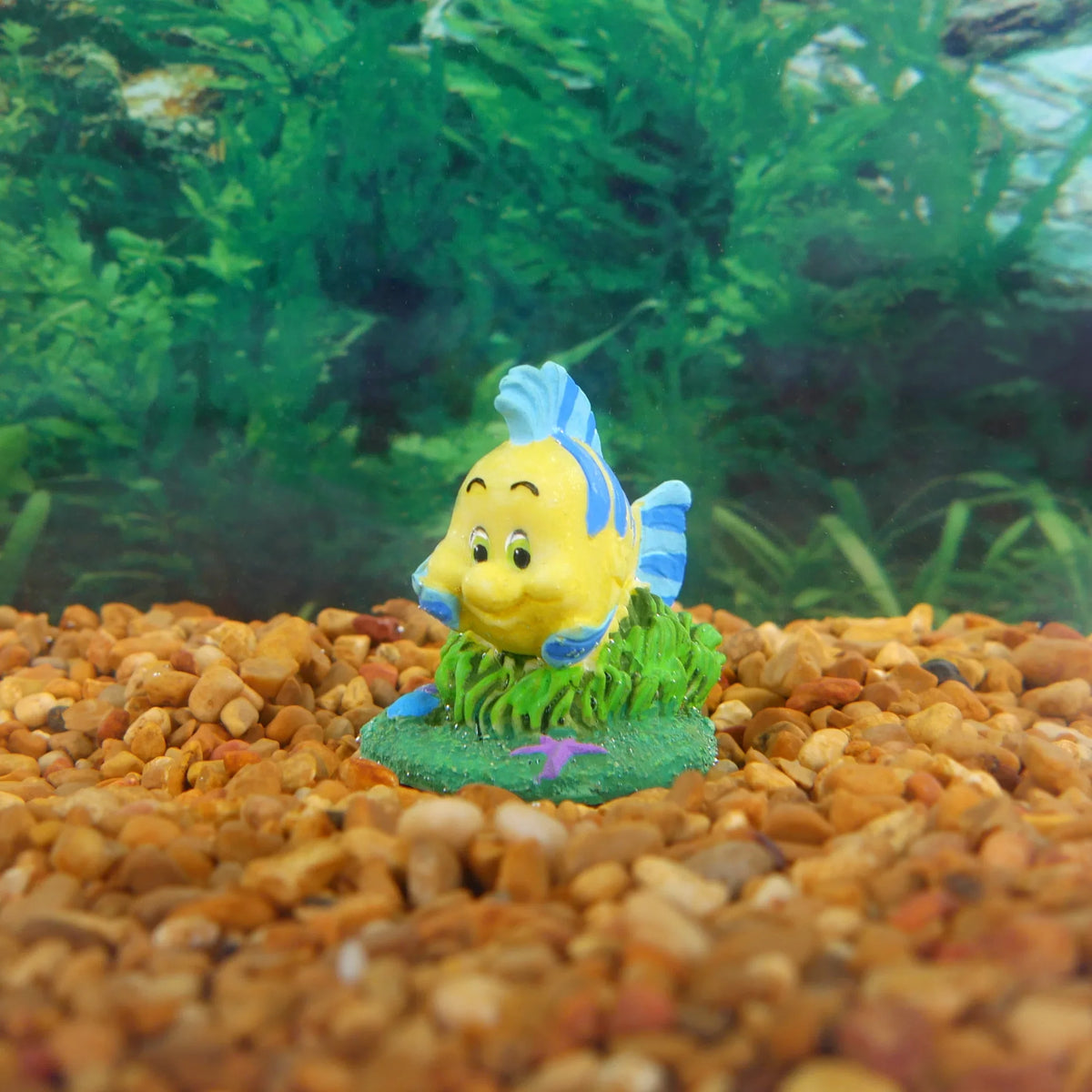 Resin 5-Piece Mini Aquariums Ornaments Little for Penn-Plax Mermaid