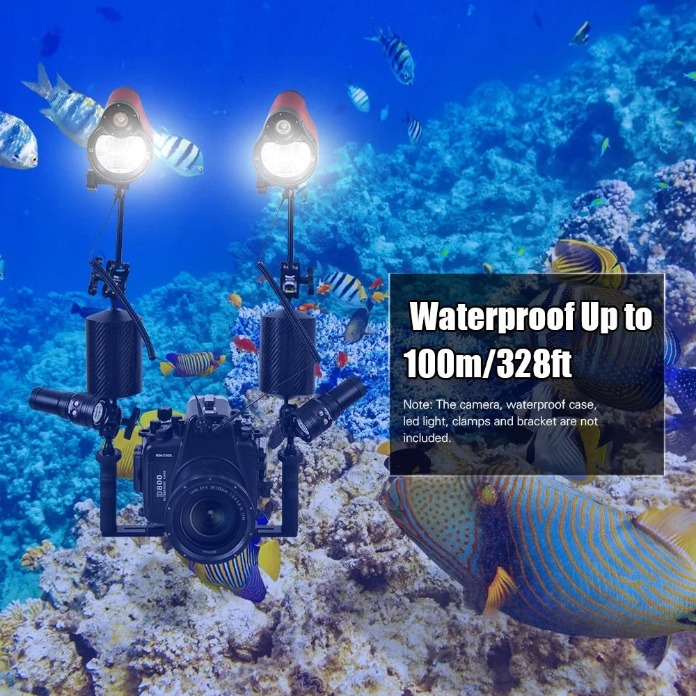 frogs With Optic lamp,Optic St-100- Dsfen 5600k Waterproof Flash With Cable 5600k 100m/328ft Sea Max. 100m/328ft Ainn Case 5600k Cable With Max. Optic Waterproof 100m/328ft Max.