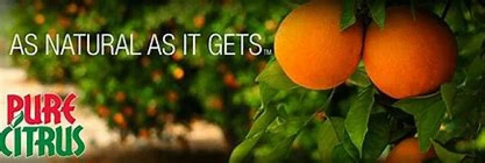 4 Non-Aerosol Freshener Refreshing 6) (Pack of fl Spray, Air Pure Orange oz Scent, NA228-6 Citrus
